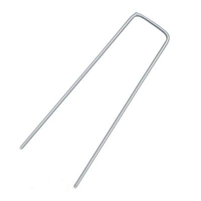 China 10 pcs/set Wholesale New Special Design U Shaped Galvanized Staples Steel Common Garden Nail for sale