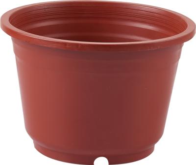 China A-75 Green Flower / Plant Cheap Meshed Bottom Garden Plastic Flower Plant Pots for sale