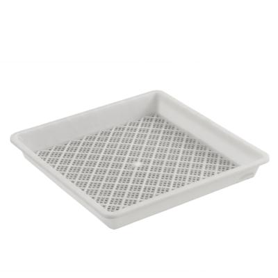 China FZ430A plastic pp plastic growing plant sprout trays for sale