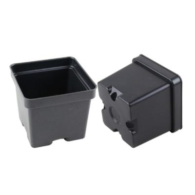 China SCP450D Modern Square Plastic Nursery Planting Thermoforming Pot For Plants for sale