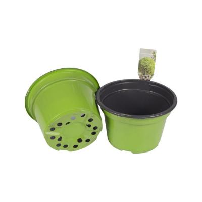 China BN140 CLASSIC custom wholesale cheap color pp plastic flower pots for sale