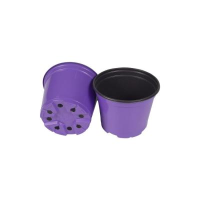 China BN150 150mm CLASSIC Size PP Pot Indoor Colorful Plastic Flower Pots for sale