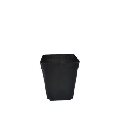 China Wholesalers Factory Cheap Bulk Black Plastic CLASSIC Pot for sale