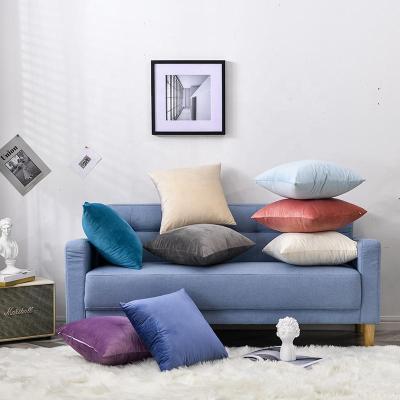 China Jacquard 30X50cm 45X45cm 50X50cm Home Decor 60x60CM Latest Designs Solid Pure Velvet Flannel Sofa Cushion Cover for sale