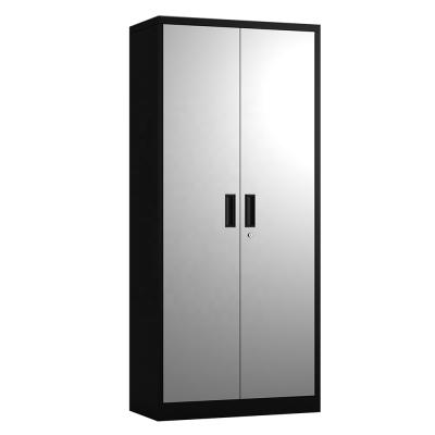 China Knock Down Luoyang Manufacturer Customized 2 Door Steel File Cabinet for sale