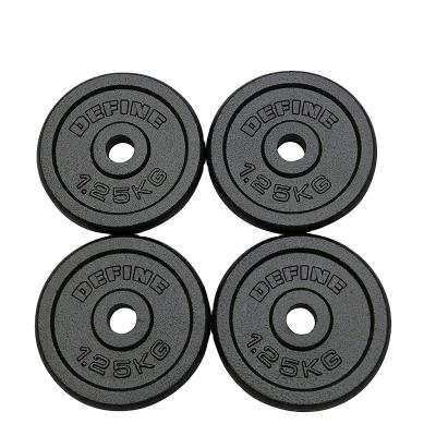 China Universal DEFINE FIT Colorful Custom Cast Iron Weight Plates 28mm / 30mm Diameter for sale