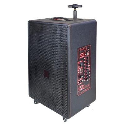 China Large Surround Wireless Power Stereo Active Trolley Speaker For School/Meeting/Outdoor Karaoke/Home Theater for sale