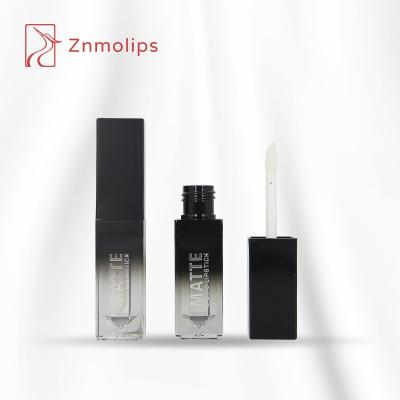 China New Product Innovative Wholesale ABS Lip Gloss Tubes Eco - Friendly Empty Lip Gloss Tubes for sale