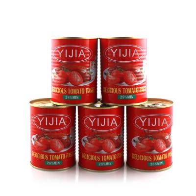 China 20-24%28-30% 36-38% 30-32% YIJIA canned tomato sauce with high quality to African market for sale