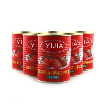 China 20-24%28-30% tomato sauce 36-38% canned by 30-32% 800g for african for sale