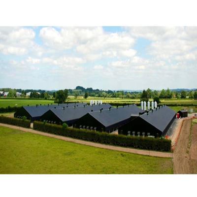 China Steel Fabricated Chicken Farm Building Design Poultry House Flexible Design Different Types Easy Installation for sale