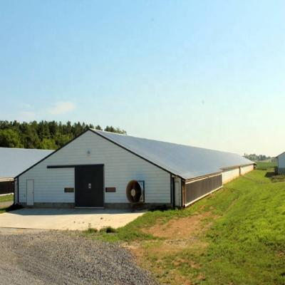 China Steel Fabricated Poultry House Layer Chicken Eggs Good Air Tightness Eco - Friendly for sale