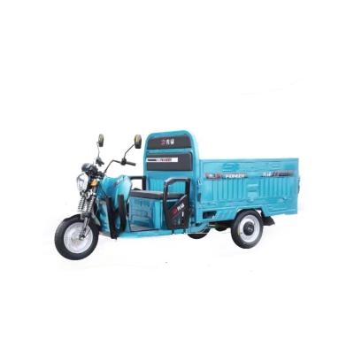 China Passenger fast delivery electric tricycle for adult electric tricycles electric tricycle for shopping for sale