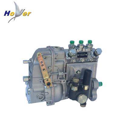 China Deutz F3L912 Diesel Engine Deutz F3L912 Fuel Injection Pump 0223 2387 Diesel Engine Spare Parts for sale