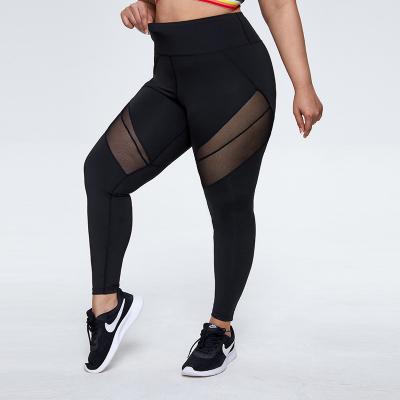 China Outdoor Fitness Kinds Of Breathable Wholesale Women Running Pants Yoga Mesh Speed ​​Gym Sports Pants Jogging Dry Cu Plus Size Pants High Waist for sale