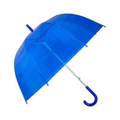 China Minimalist Clear Customized Auto Open Stick Creative Dome Customize Transparent Umbrella For Sale for sale