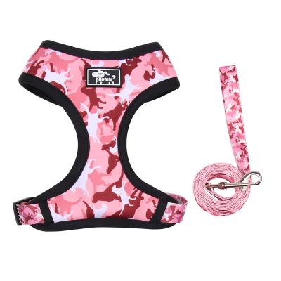 China Padded Spike Harness Set Discounts Gold Dog Collar Limited Time Spike Dogs Innovative Products for sale