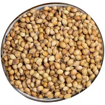 China Best Price Best Quality Dried Top Selling Whole Coriander Seeds for sale