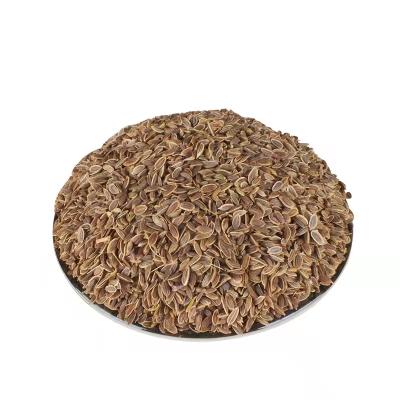 China High quality dry spice dill seeds are available in large quantities for sale