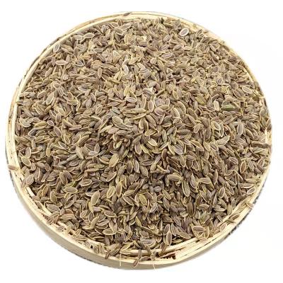 China Factory supply good quality dry dill seeds available for sale