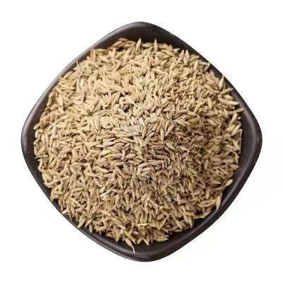 China China Singapore Dried Low Price Guaranteed Quality Black Cumin Seeds for sale