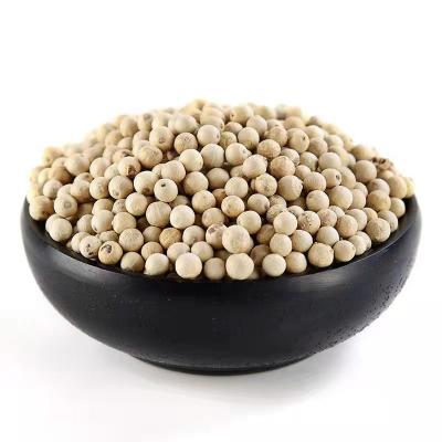 China Dried best quality, good prices wholesale dry white pepper for sale