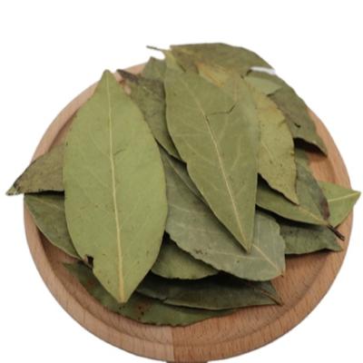 China Dry First Grade China Bayleaf Simple Herbs & Spices Bay Leaf for sale