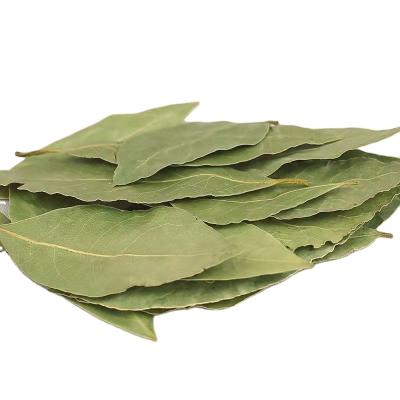 China Dried Wholesale Berry Leaves for sale