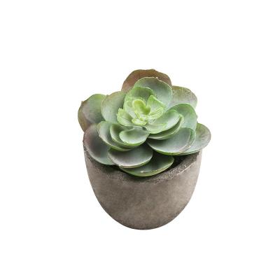 China Wholesale Plastic Artificial Flowers Decor Small Gift Plant Faux Succulent Plants for sale