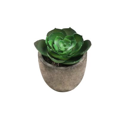 China Wholesale Gift Plant Fake Artificial Flowers Plastic Succulent Plants Small Fake Artificial Plants for sale