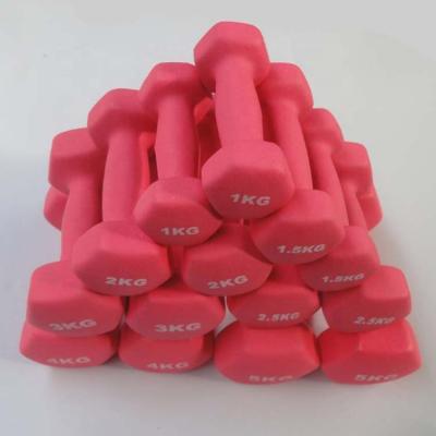 China 1kg 1.5kg 2kg 2.5kg 3kg 4kg 5kg Universal Arm Gym Equipment Dumbbell Training Home Weights for sale