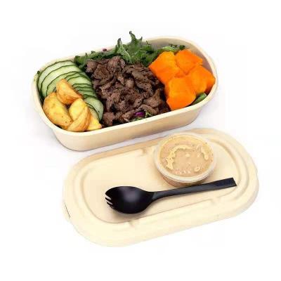 China Disposable Eco-Friendly Eco-Friendly Take Out Food Containers Lunch Storage Boxes, Biodegradable Bagasse Meal Box witl Lid Customizable for sale