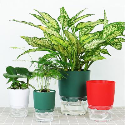 China New Fashion Plastic Pp+ps Planter Eco-friendly Transparent Garden Cotton Automatic Water Flower Pot for sale