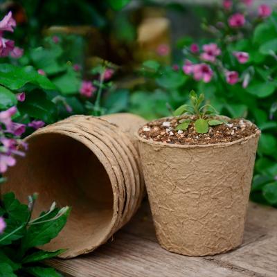 China Hot Selling Paperboard Cup Garden Plants Nursery Paper Pots Seedling Seedling Biodegradable Peat Cups For Flower Planter for sale