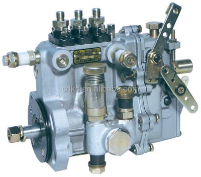 China Oil Shandong Kangda High Pressure Fuel Injection Pump BH3QT85R9 (3QT05) 3 Cylinder Fuel Injection Pump For Deutz 3105 for sale