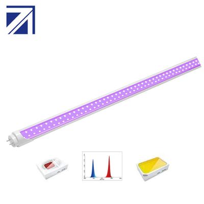 China Seed Starting Plant Led Tape Plant Bar T8 Ribbon Tube T5 Hydroponics Indoor Grow Light for sale