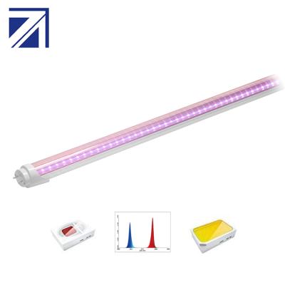 China Starting From Seed Well Selling T8 Indoor Waterproof Full Spectrum Led To Grow Light Weight for sale