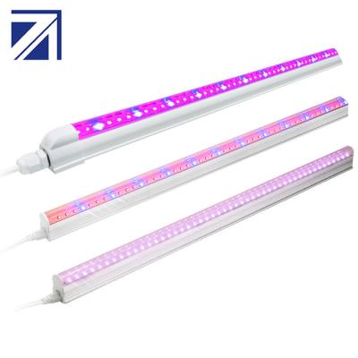 China Seed Starting Plant Wholesale T8 Led Tube Plant T5 Red And White Full Spectrum Grow Light Indoor for sale