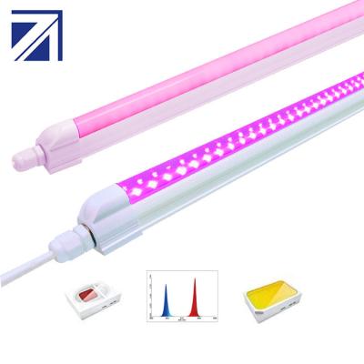 China Seed Starting 90Cm 42W T5 High Quality Microgreens Led Tube Grow Light T8 for sale