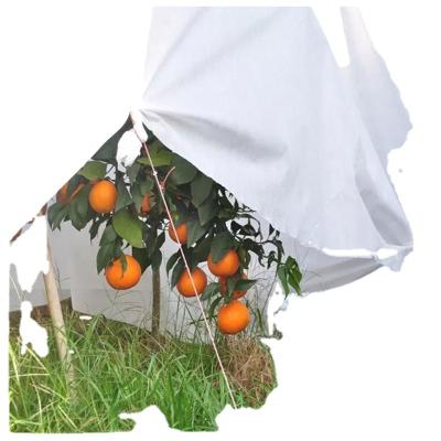 China Factory Fruit Trees Nonwoven Fabric Cover Non-Freezing Antifreeze Waterproof Bag Cold Proof Supplier for sale