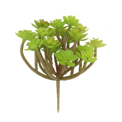 China 24 cross cactus environmental friendly succulent artificial flowers/artificial flower cluster for microlandschaft for sale