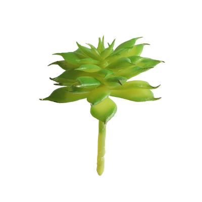 China Environmental Friendly Artificial Lotus Ranunculus Plant For Wall / Green Artificial Plants For Simulation Flowers For Microlandschaft for sale