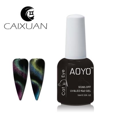 China Caixuan Soak Off UV LED 5D Cat Eyes Gel Polish For Nail Deco Rainbow Cat Eyes Color Nail Gel Polish for sale