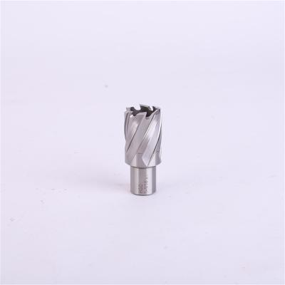 China Metal Drilling HSS Cutter Wholesale Price Annular Cutter Annular Core Drills For Sale With Weldon Shank for sale