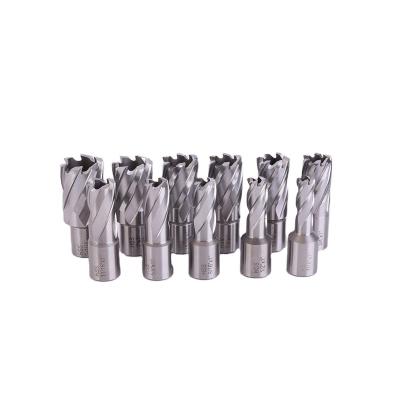 China Metal Drilling HSS Annular Cutter Set Good Prices High Quality Twist Drill Bit Kit For Drilling Holes for sale