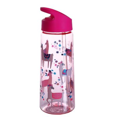 China Factory BPA FREE Kids Sustainable Portable Water Bottle With Straw Lid TS-9154 650ML for sale