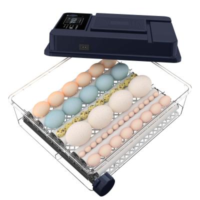 China 36 Egg Multifunctional Egg Tray Mini Egg Incubator Black Automatic Incubator Chicken Incubator for sale