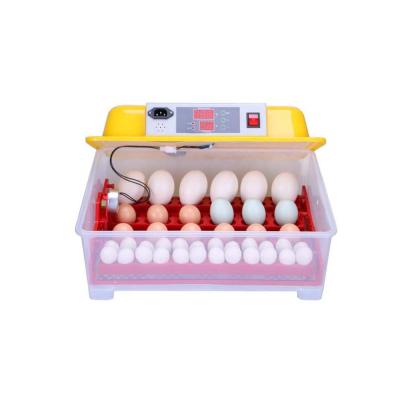 China Full Automatic Multifunctional All Kinds Of Chicken Egg Incubator 48 Pcs Mini Egg Incubator HJ-M24 for sale