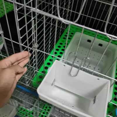 China Sustainable High Quality Low Price Commercial Rabbit Cages / Rabbit Cages Commercial Sale / Rabbit Cages for sale