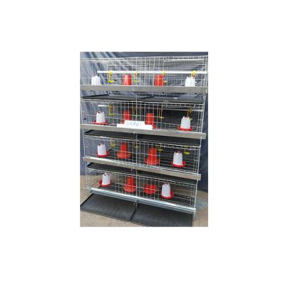 China Farms Cultivate Use Baby Chicken Brooder Cage Chicken Cage HJ-YC320 for sale